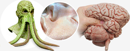 Silicone Rubber - These are two-component platinum and tin cure materials which cure at room temperature (RTV) to flexible, high tear-strength rubbers